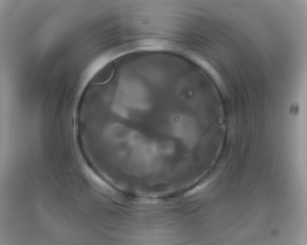 X0000091951467200709061230