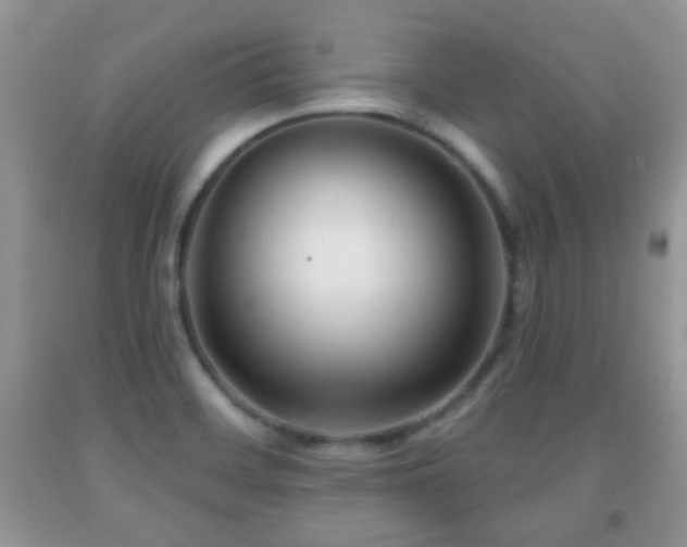 X0000091951468200709061230
