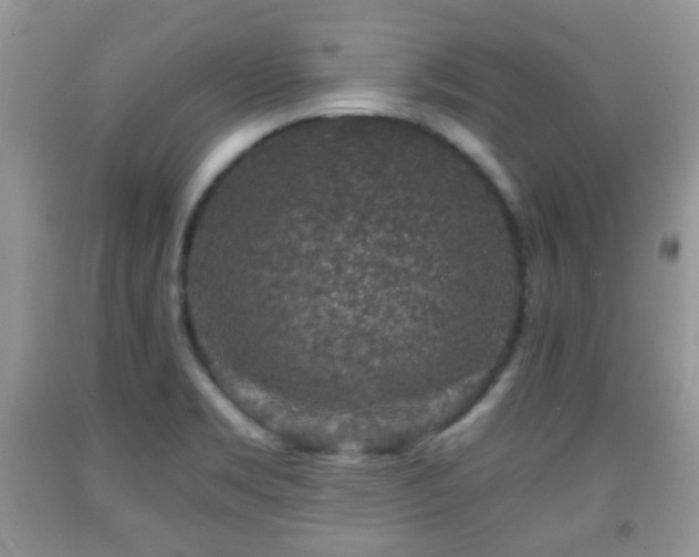 X0000091951469200709061230