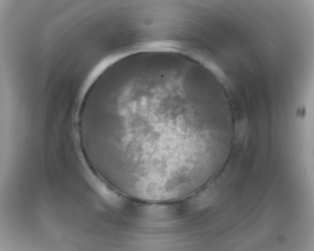 X0000091951470200709061230