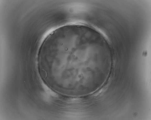X0000091951471200709061230
