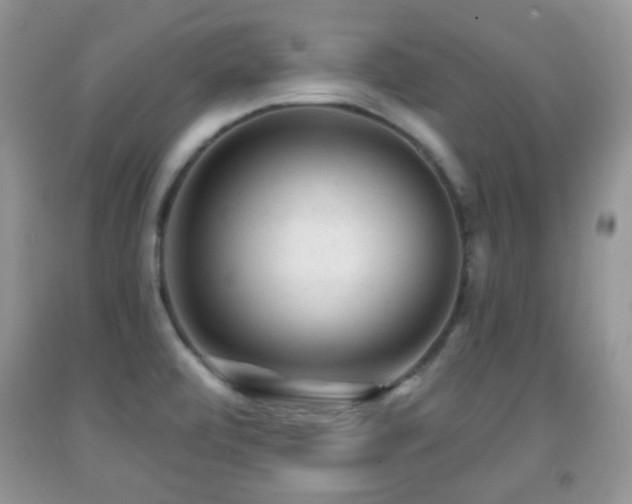 X0000091951472200709061230