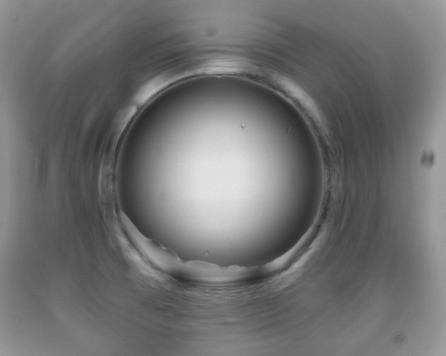 X0000091951473200709061230