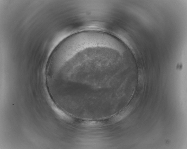 X0000091951474200709061230
