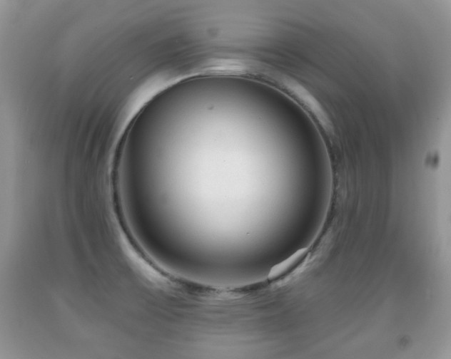 X0000091951475200709061230