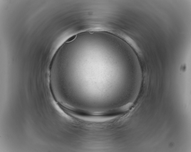 X0000091951476200709061230