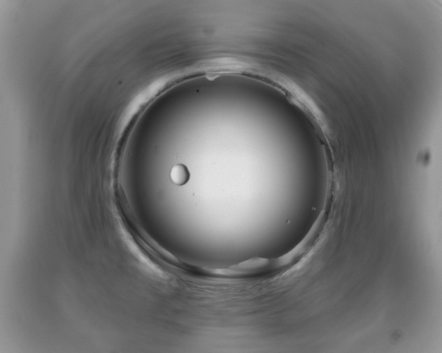 X0000091951477200709061230