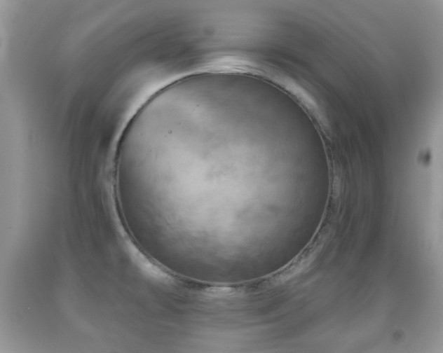 X0000091951478200709061230