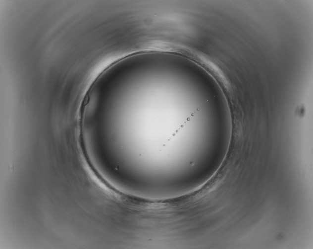 X0000091951479200709061230
