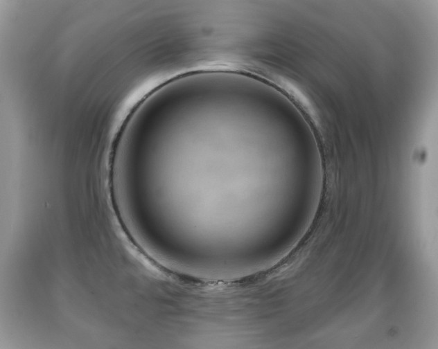 X0000091951480200709061230