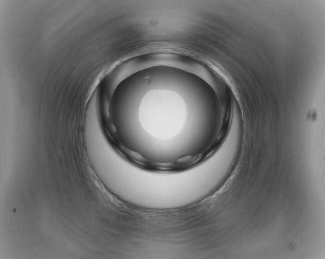 X0000091951481200709061230