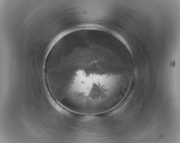 X0000091951482200709061230