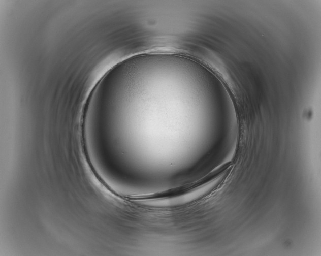 X0000091951483200709061230