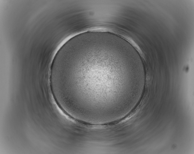 X0000091951484200709061230