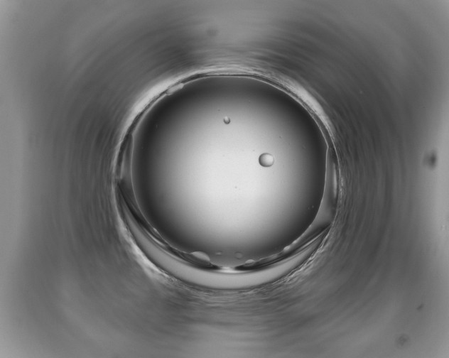 X0000091951485200709061230