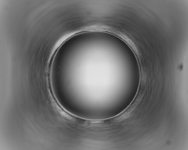 X0000091951486200709061230