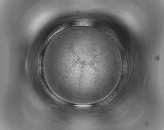X0000091951487200709061230