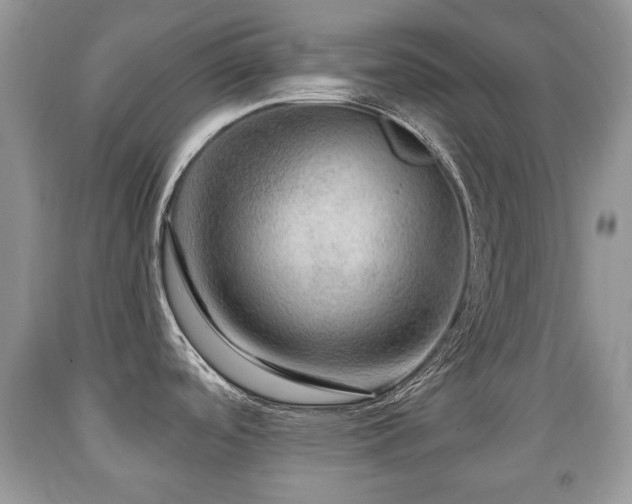 X0000091951488200709061230