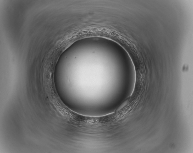 X0000091951489200709061229