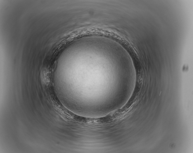 X0000091951490200709061229