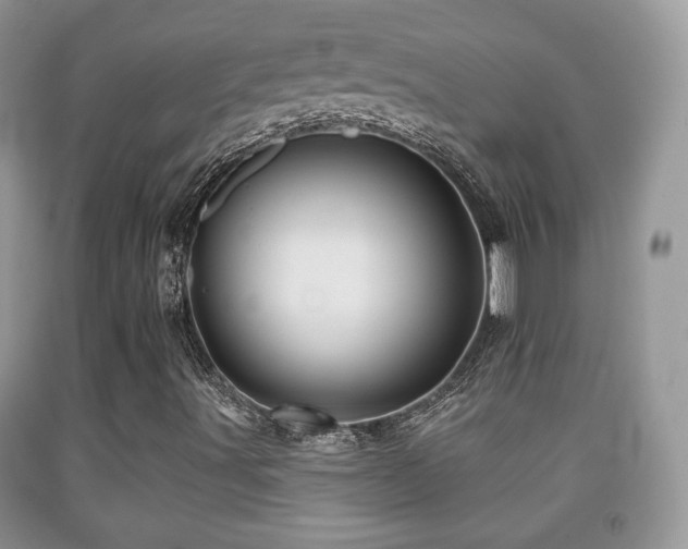 X0000091951491200709061229