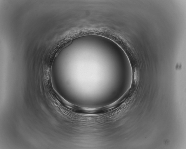 X0000091951492200709061229