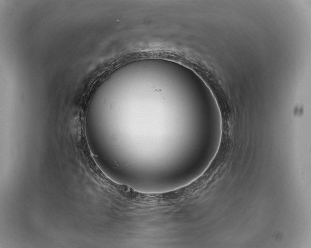X0000091951493200709061229
