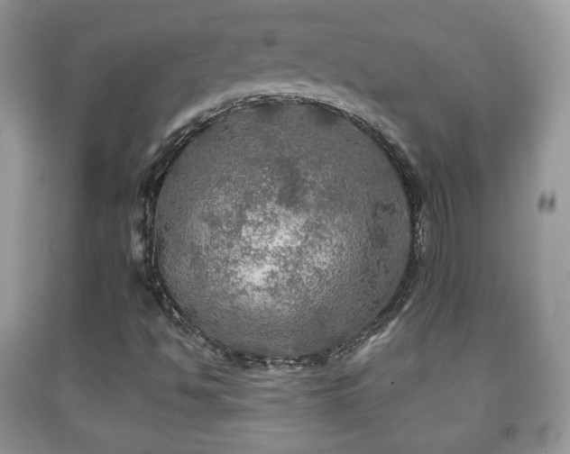 X0000091951494200709061229