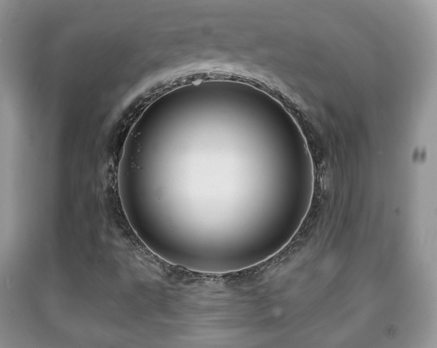 X0000091951495200709061229