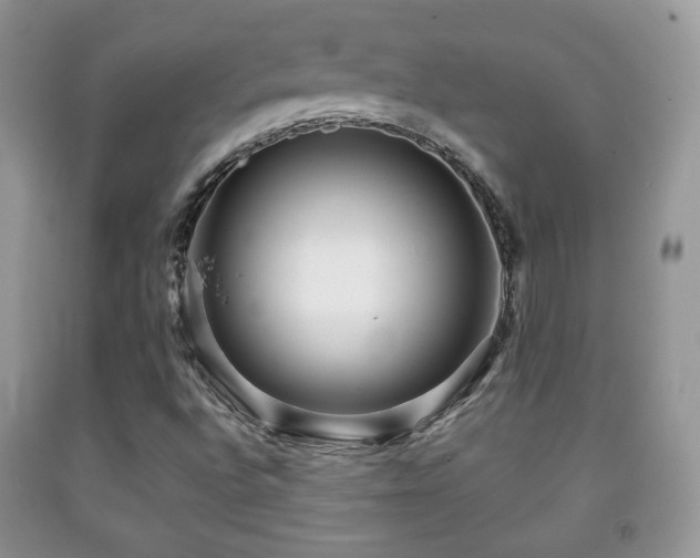 X0000091951496200709061229