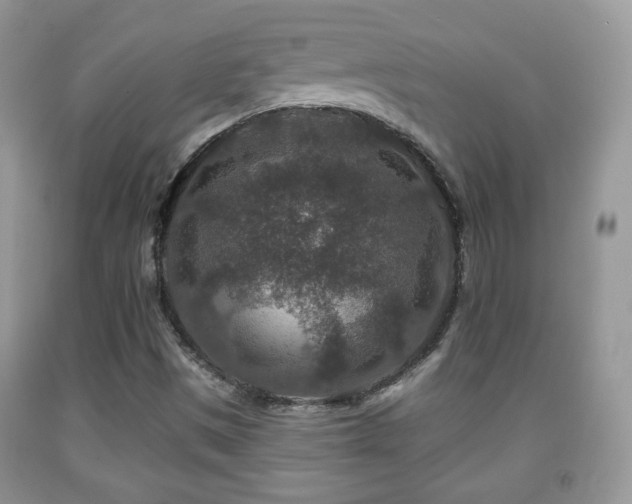 X0000091951497200709061229