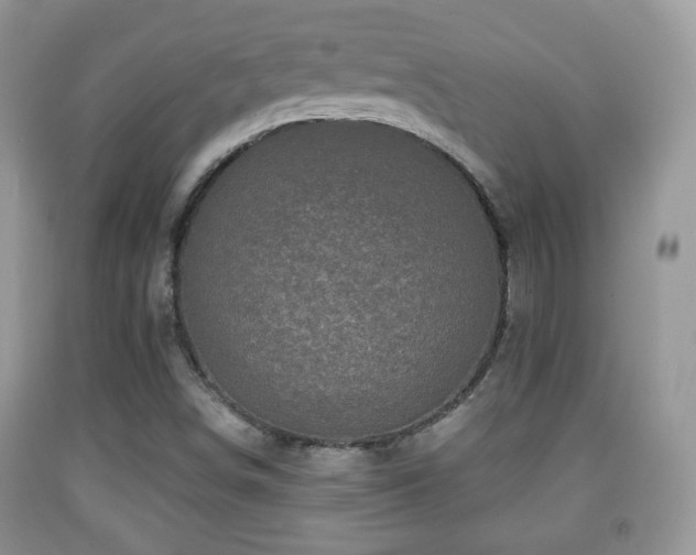 X0000091951498200709061229