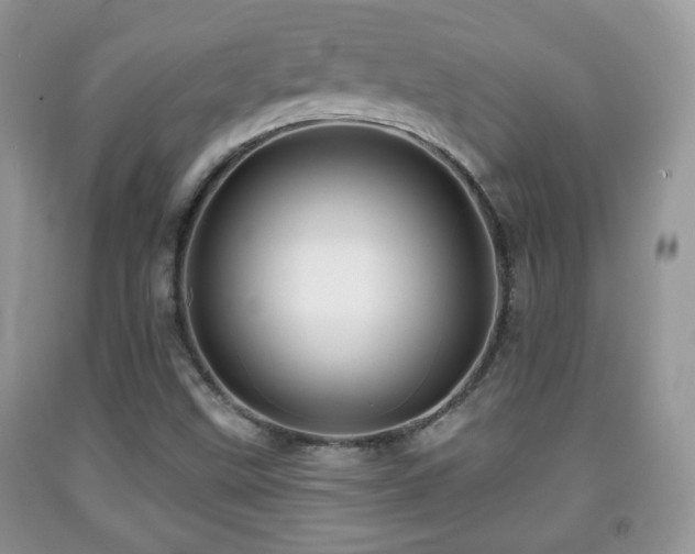 X0000091951499200709061229