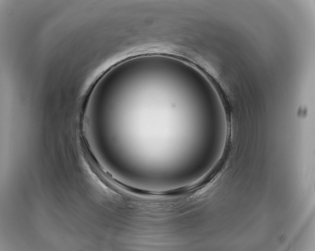 X0000091951500200709061229