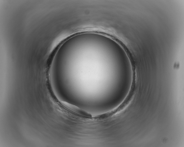 X0000091951501200709061229