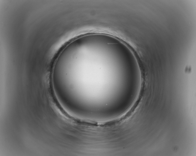 X0000091951503200709061229