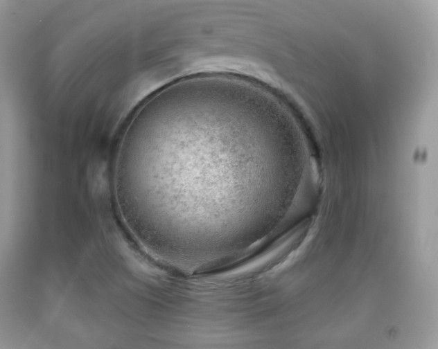 X0000091951505200709061229