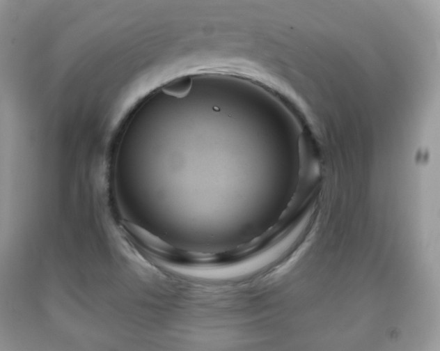 X0000091951506200709061229