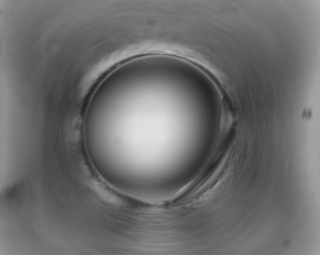 X0000091951507200709061229