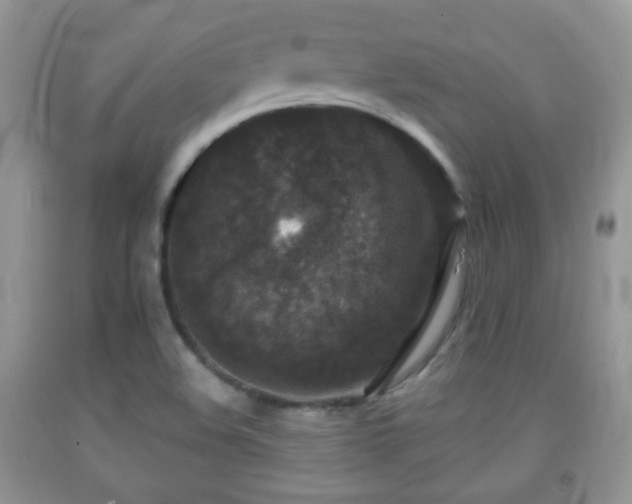 X0000091951508200709061230