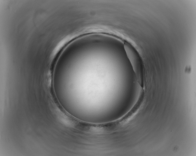 X0000091951509200709061230