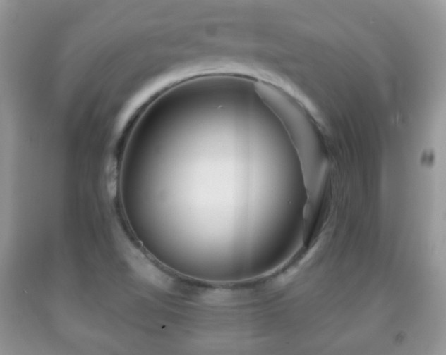 X0000091951510200709061230