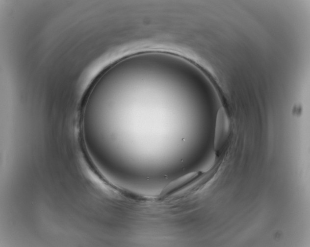X0000091951511200709061230
