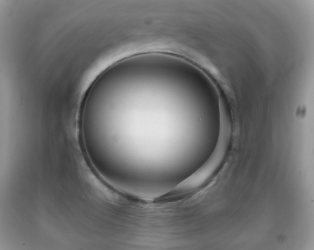 X0000091951512200709061230