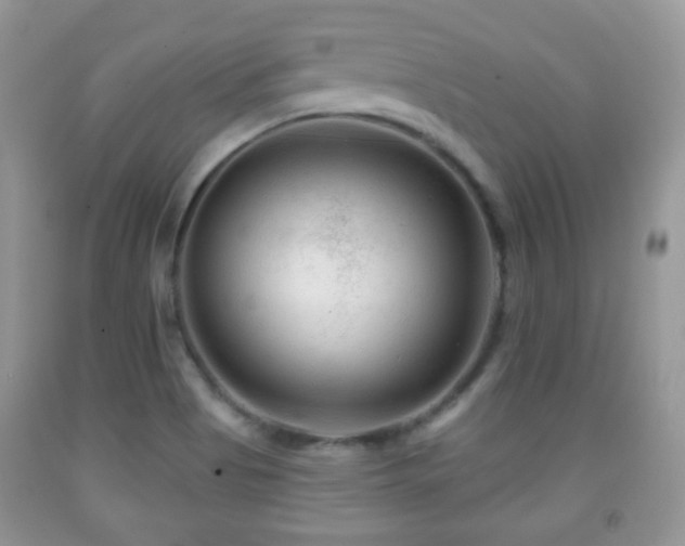 X0000091951513200709061230
