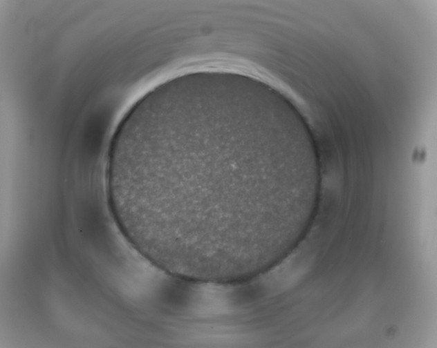 X0000091951514200709061230