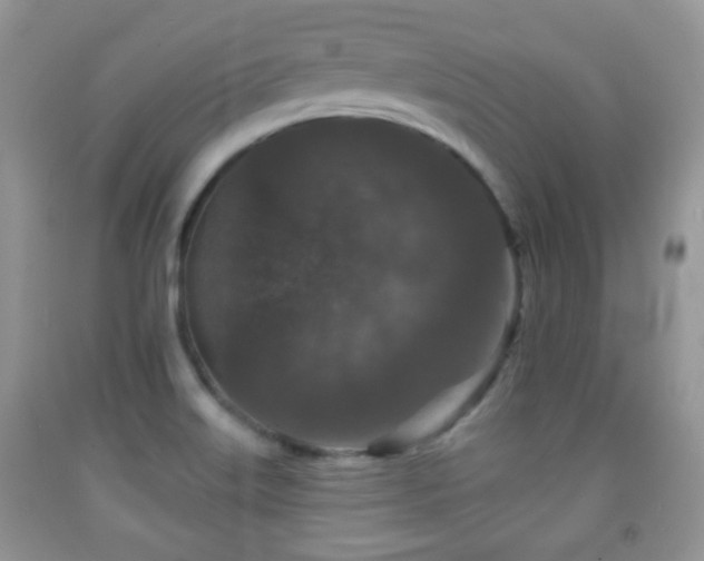 X0000091951515200709061230