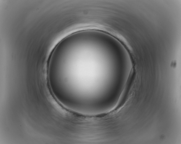 X0000091951516200709061230