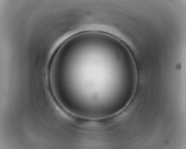 X0000091951517200709061230