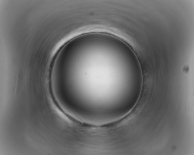 X0000091951518200709061230